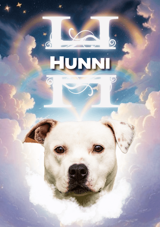 🌈 Personalized Pet Memorial Rainbow Bridge Portrait | Custom Dog Tribute Wall Art - Phimedil Designs