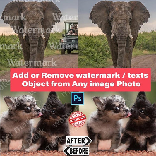 Photoshop Photo Editing: Remove Watermarks, Objects, and Text - Phimedil Designs